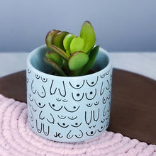 Load image into Gallery viewer, Blue Mist Planter