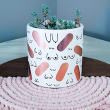 Load image into Gallery viewer, Rose Gold Planter