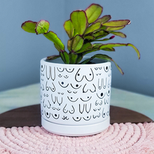 Load image into Gallery viewer, White You're the Tits Planter