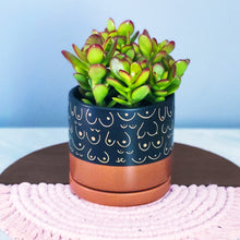 Load image into Gallery viewer, Tan and Black Planter