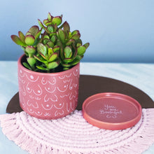 Load image into Gallery viewer, Pink Terracotta Planter