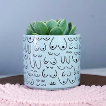 Load image into Gallery viewer, Blue Mist Planter