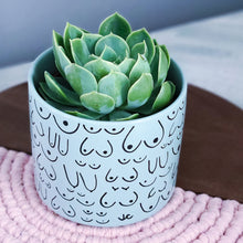 Load image into Gallery viewer, Blue Mist Planter