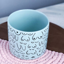 Load image into Gallery viewer, Blue Mist Planter