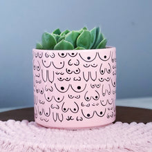 Load image into Gallery viewer, Petal Pink Planter