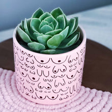 Load image into Gallery viewer, Petal Pink Planter