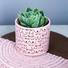 Load image into Gallery viewer, Petal Pink Planter