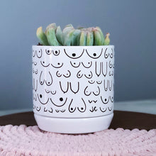 Load image into Gallery viewer, Planter with Saucer