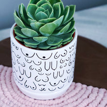 Load image into Gallery viewer, Planter with Saucer