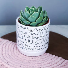 Load image into Gallery viewer, Planter with Saucer