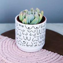 Load image into Gallery viewer, Planter with Saucer