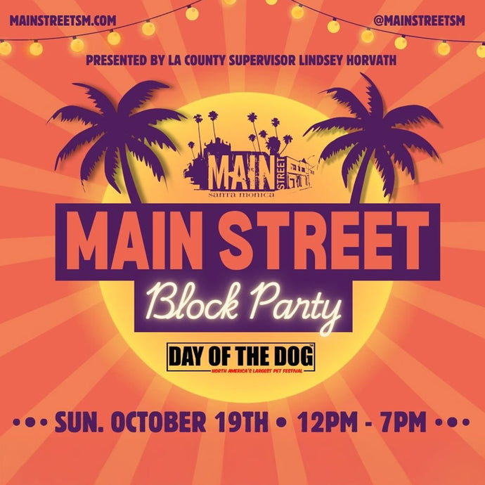 Main Street Block Party 2025