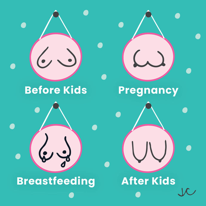 Our Guide to Breasts Before and After Breastfeeding
