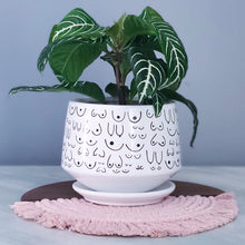 Load image into Gallery viewer, Modern White Planter with Saucer
