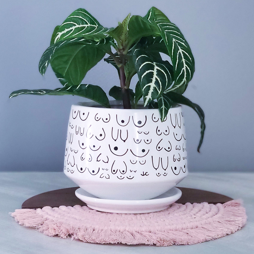 Modern White Planter with Saucer