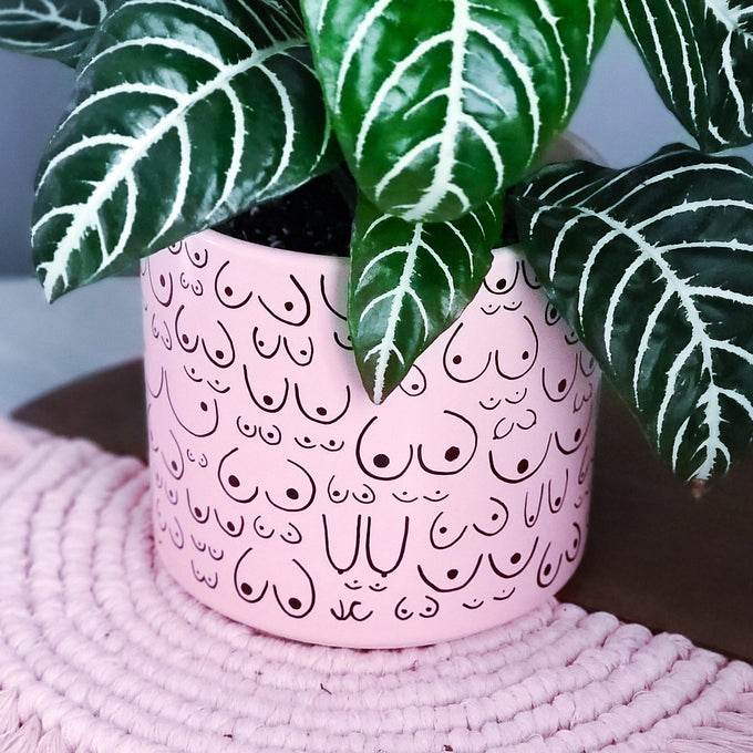 Petal Pink Planter