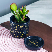 Load image into Gallery viewer, Matte Black + Gold Planter
