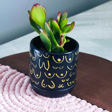 Load image into Gallery viewer, Matte Black + Gold Planter
