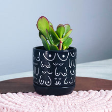 Load image into Gallery viewer, Matte Black + Silver Planter
