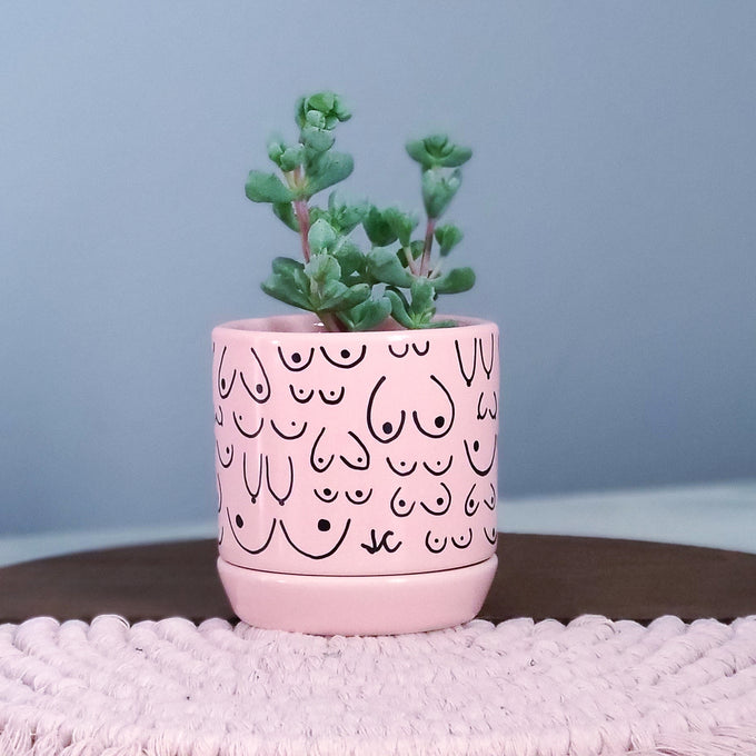 Classic Pink Planter