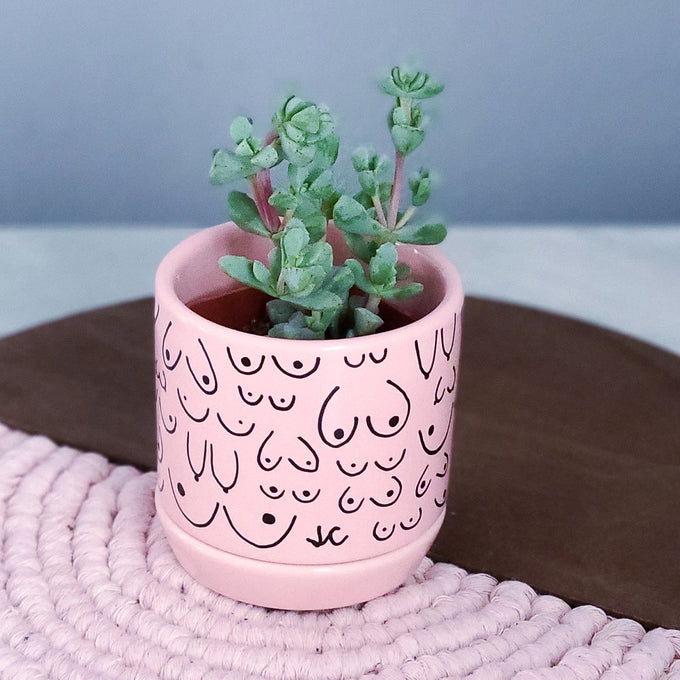 Classic Pink Planter