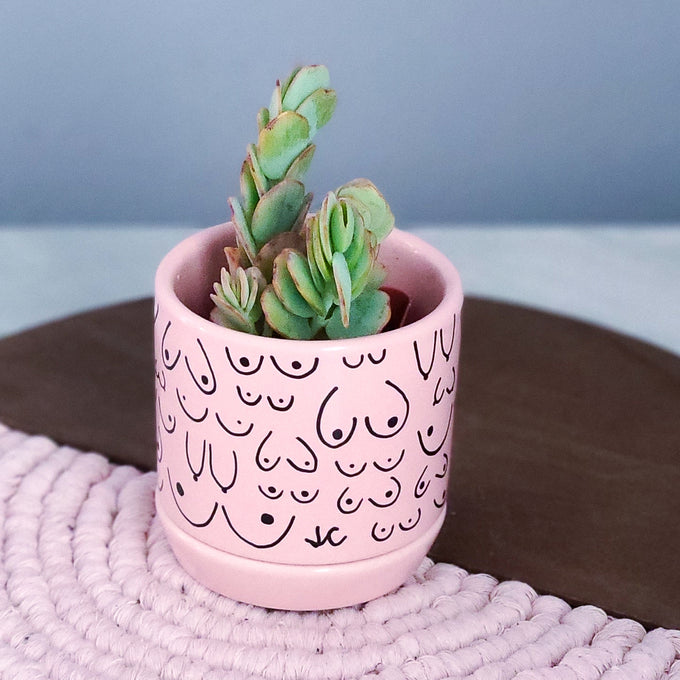 Classic Pink Planter