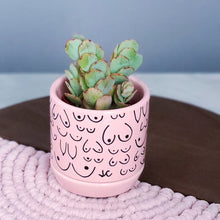 Load image into Gallery viewer, Classic Pink Planter
