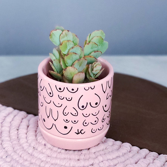 Classic Pink Planter