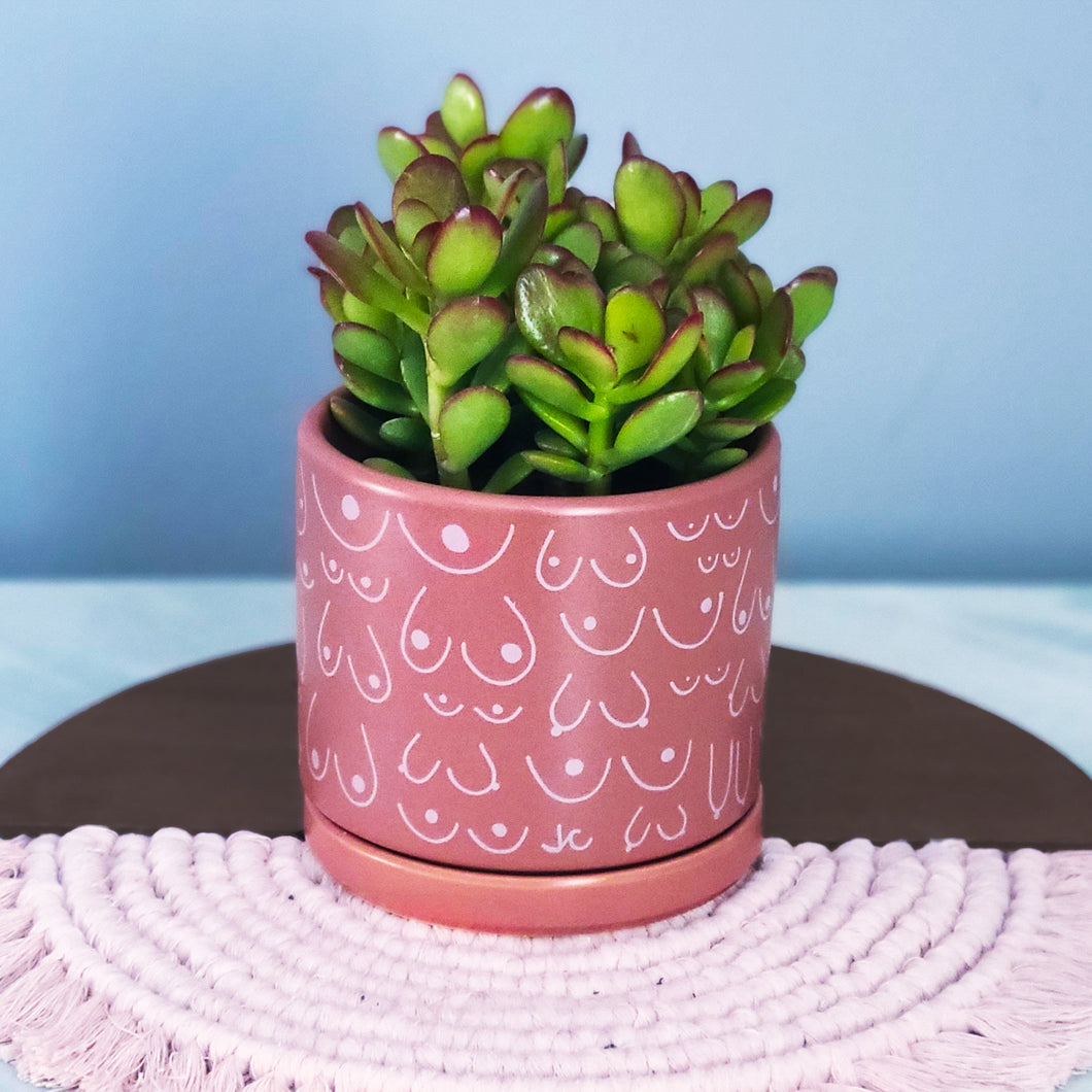 Pink Terracotta Planter