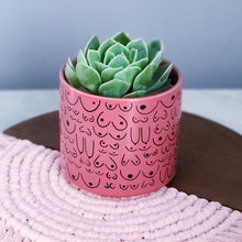 Load image into Gallery viewer, Dusty Rose Planter
