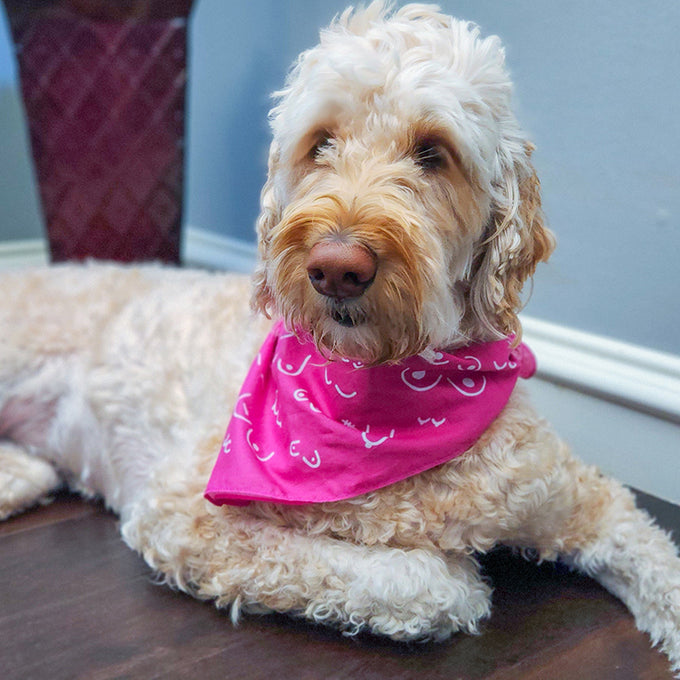 Pink Boob Bandana
